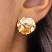 Boucles d'oreilles Giani - Petit Modèle
